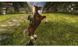 0 The Legend of Zelda Twilight Princess HD (6)