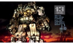 13 Sentil Aegis Rim head