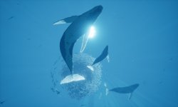 ABZÛ E3 2016 (3)
