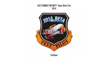 Ace-Combat-Infinity_01-02-2014_blason-1