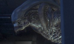 Alien Isolation 19 01 2013 screenshot 3