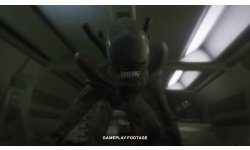 Alien Isolation vignette 27 12 2019