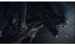 Alien Xenomorph