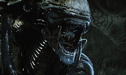 Aliens Fireteam Elite Pathogen (5)