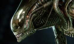 Aliens Fireteam Xenomorphe Type Classe Drone