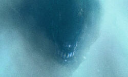 Aliens jeu Survios