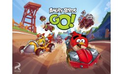 angry birds go