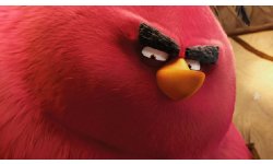 Angry Birds le film head