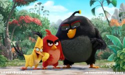 Angry Birds Movie promotional image