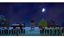 Animal crossing new horizon etoile fil
