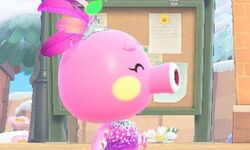 Animal Crossing New Horizons 01 26 01 2021