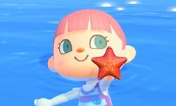 Animal Crossing New Horizons 05 25 06 2020
