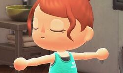 Animal Crossing New Horizons 12 19 11 2020