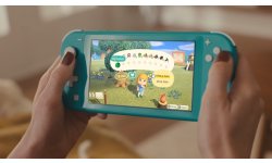 Animal Crossing New Horizons head