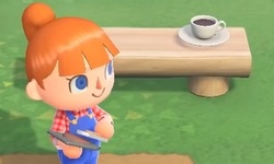 Animal Crossing New Horizons head