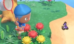 Animal Crossing New Horizons head