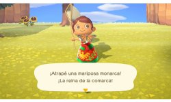 Animal Crossing New Horizons Mexique 1