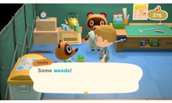 Animal Crossing New Horizons vignette 05 09 2019
