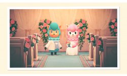 Animal Crossing New Horizons vignette 21 04 2020