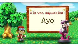Animal Crossing New Leaf Welcome amiibo Ayo