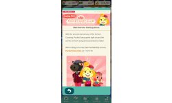 Animal Crossing Pocket Camp Club head 2