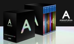 Annapurna Interactive Ultimate PS4 Collection 01 11 09 2020