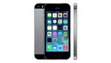 Apple iPhone 5S 16 Go Gris