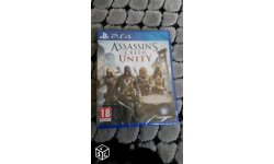 Assassin creed unity france (2)