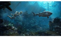 Assassin\'s Creed IV Black Flag 22 07 2013 screenshot (2)