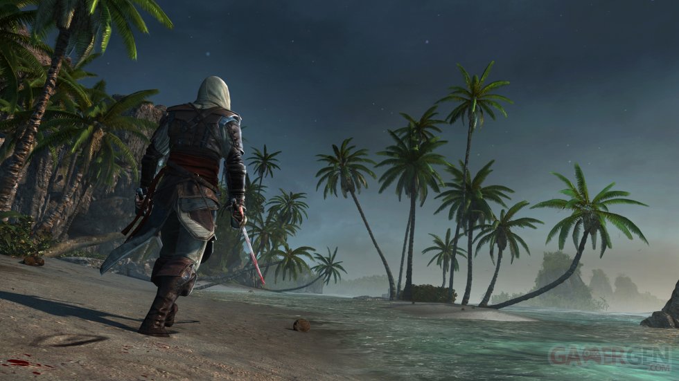Assassin\'s Creed IV Black Flag 22.08.2013 (3)