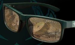 Assassin's Creed Valhalla Edition Enigma Gunnar Lunettes