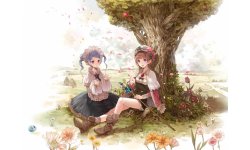 Ateliera Rorona PLus 3DS 40