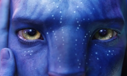 Avatar vignette 27 04 2022