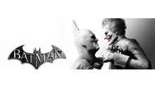 Batman Arkham City image (2)