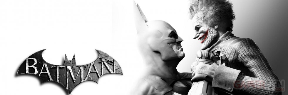 Batman Arkham City image (2)