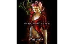 Batman Arkham Knight (2)