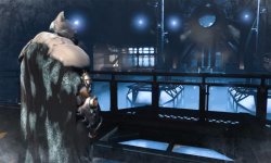 Batman Arkham Origins Coeur Glacial 10 04 2014 head