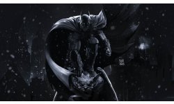 Batman Arkham Origins vignette 13102013