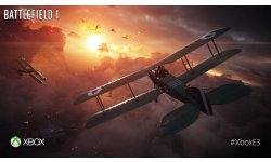 Battlefield 1 screenshot