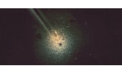 Below vignette