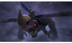 Berserk Musou (9)