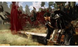 Berserk Musou images (2)