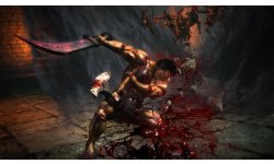 Berserk Musou images (5)