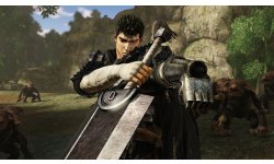 Berserk Musou images (7)