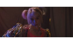 Birds of Prey vignette 28 01 2019