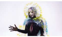 bjork vulnicura