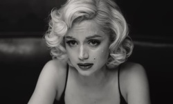Blonde vignette 25 08 2022