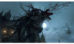 Bloodborne 14.08.2014 (8)