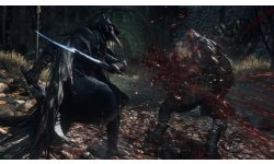 Bloodborne (41)