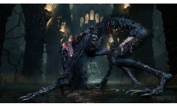 Bloodborne (46)